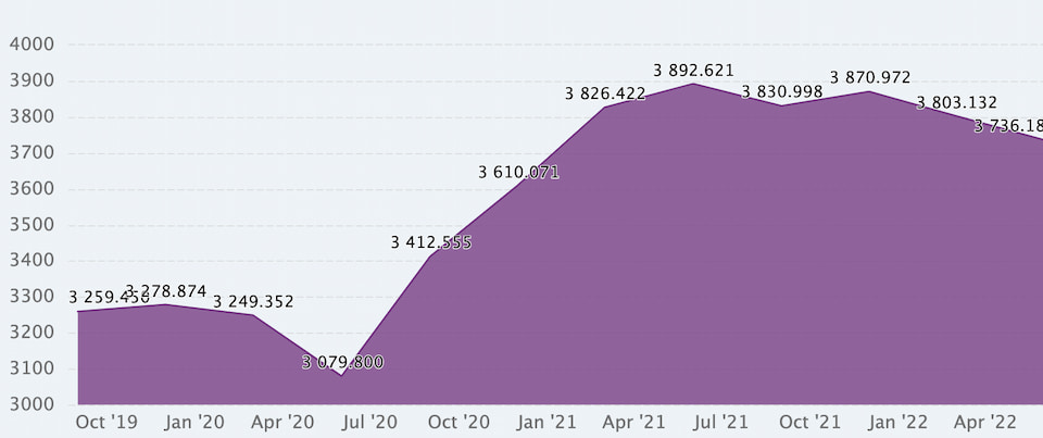 the-mid-year-check-in-reveals-new-zealand-s-biggest-salaries-seek-www