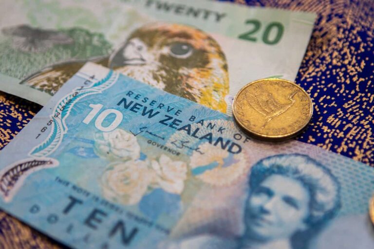 Are You Well-Paid? Full Guide on Salaries in New Zealand 2024