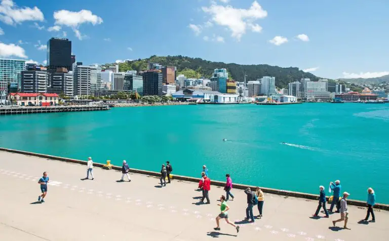 23 Pros and Cons of Living in Wellington That You Must Know