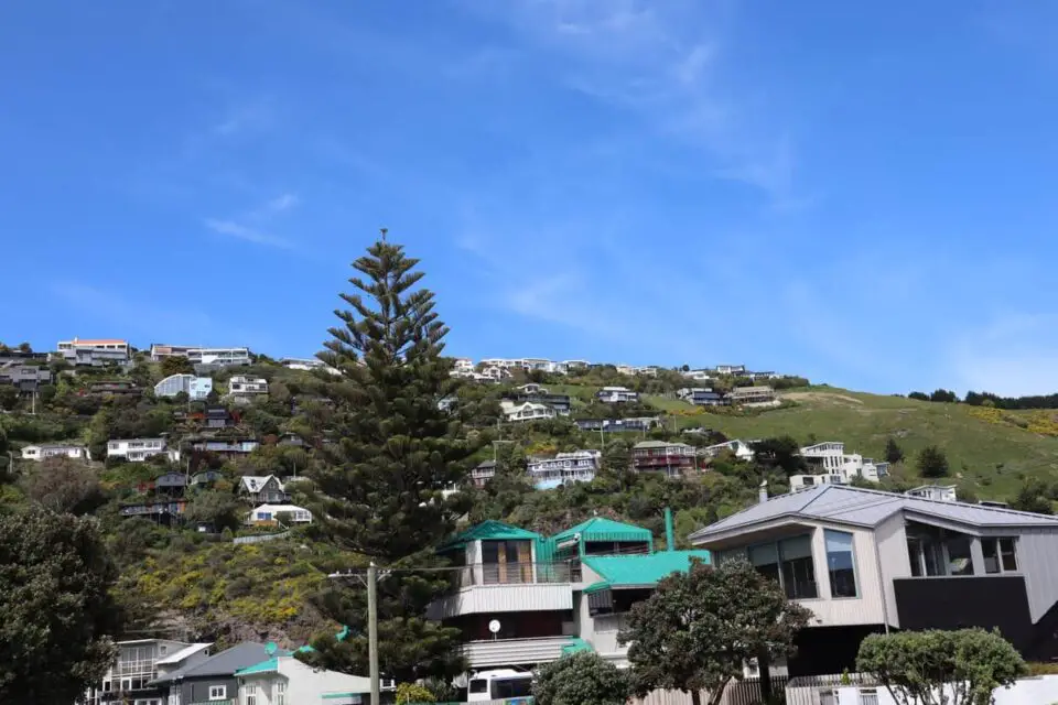 wellington new zealand rent prices